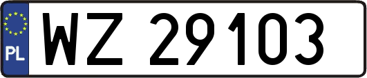WZ29103