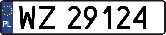 WZ29124