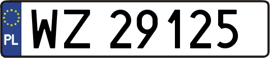 WZ29125