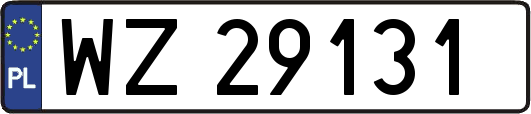 WZ29131
