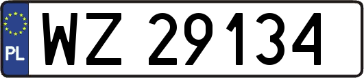 WZ29134
