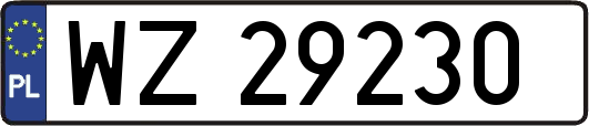 WZ29230