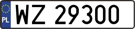 WZ29300