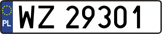 WZ29301