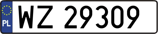 WZ29309