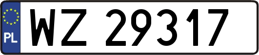 WZ29317