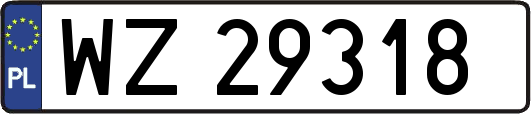 WZ29318