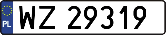 WZ29319