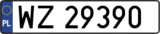 WZ29390