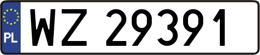 WZ29391