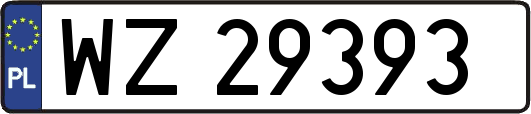 WZ29393