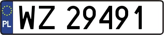 WZ29491