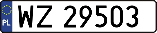 WZ29503