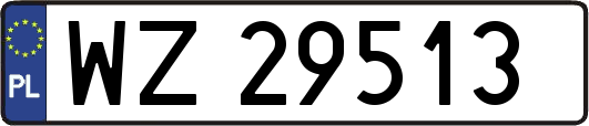 WZ29513