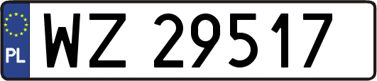 WZ29517