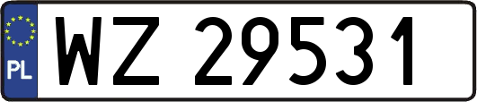 WZ29531