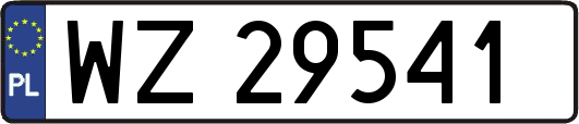 WZ29541