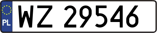 WZ29546