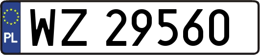 WZ29560