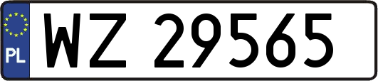 WZ29565