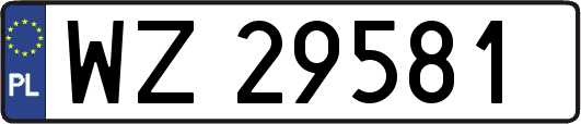 WZ29581