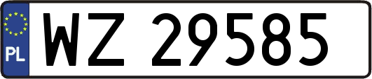 WZ29585