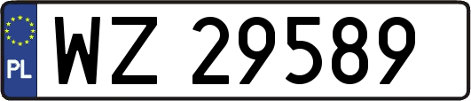 WZ29589