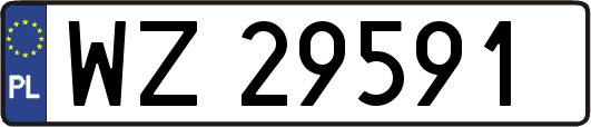 WZ29591