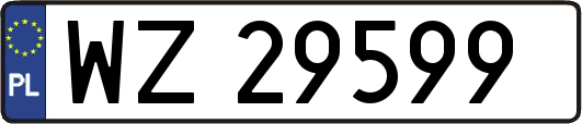 WZ29599