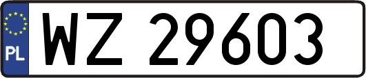 WZ29603