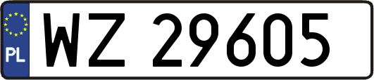 WZ29605