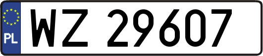 WZ29607