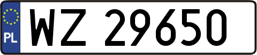 WZ29650