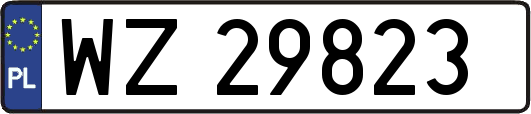 WZ29823