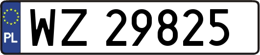 WZ29825