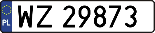 WZ29873