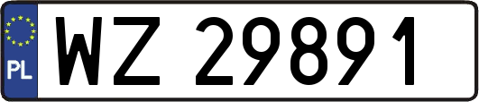 WZ29891