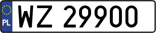 WZ29900