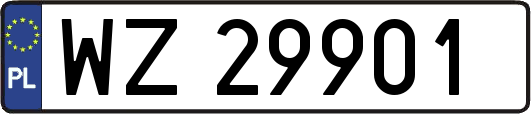WZ29901