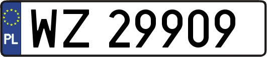 WZ29909