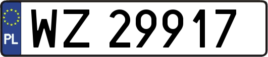 WZ29917