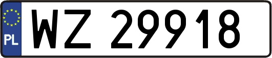 WZ29918