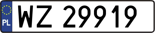 WZ29919