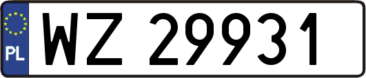 WZ29931