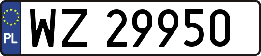 WZ29950