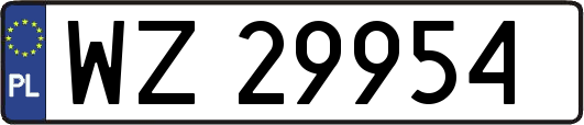 WZ29954
