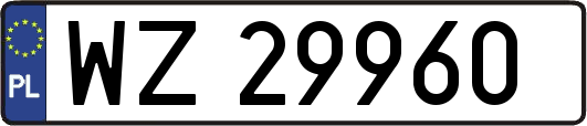 WZ29960