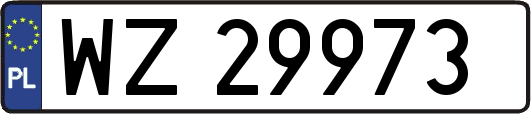 WZ29973