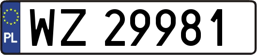 WZ29981