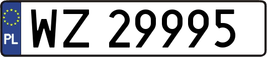 WZ29995